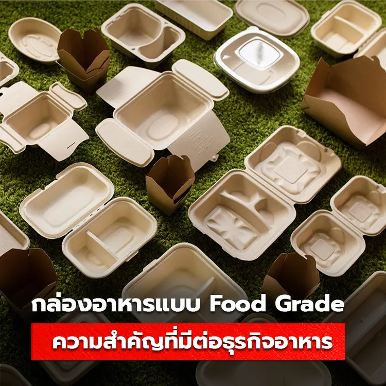 กล่องกระดาษใส่อาหารแบบ Food Grade มีความสำคัญต่อธุรกิจอาหารอย่างไร