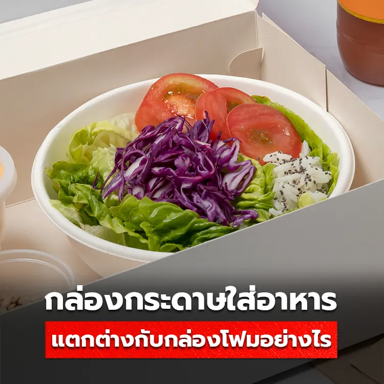 การใช้กล่องกระดาษใส่อาหาร แตกต่างกับการใช้กล่องโฟมอย่างไร