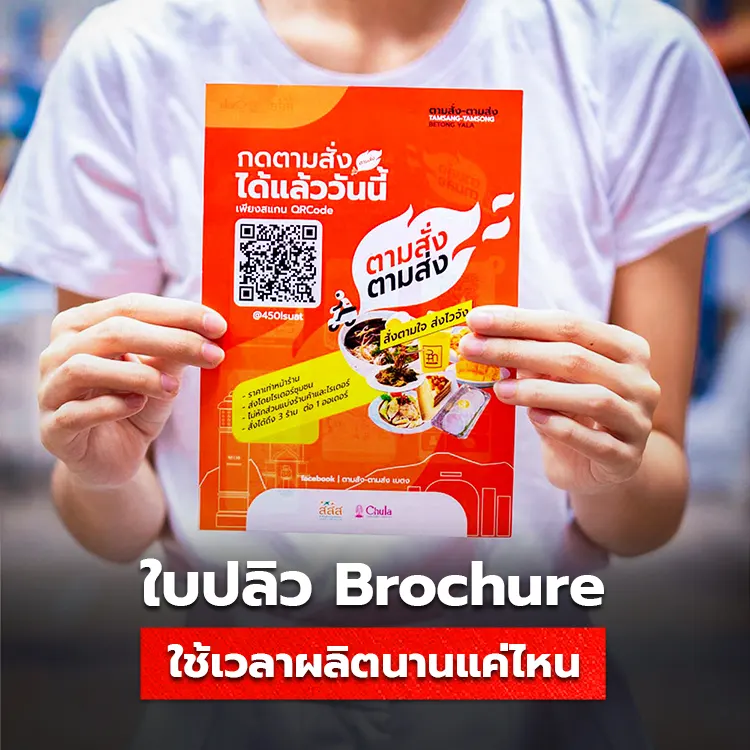 ใบปลิว Brochure