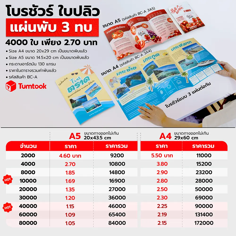 โบรชัวร์ พับ3ตอน