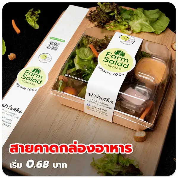 สายคาดอาหาร