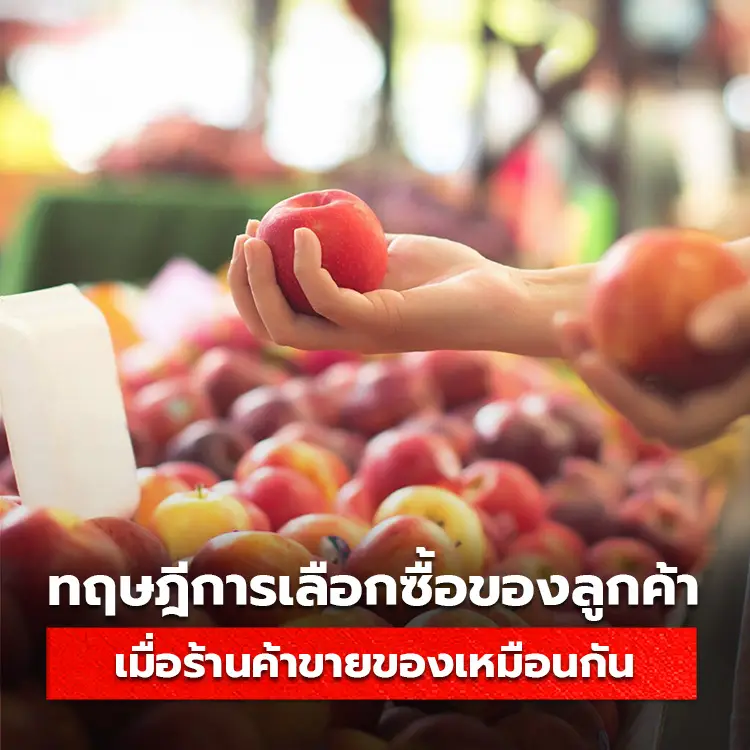 ทฤษฎีการเลือกซื้อสิ่งที่สำคัญกว่า