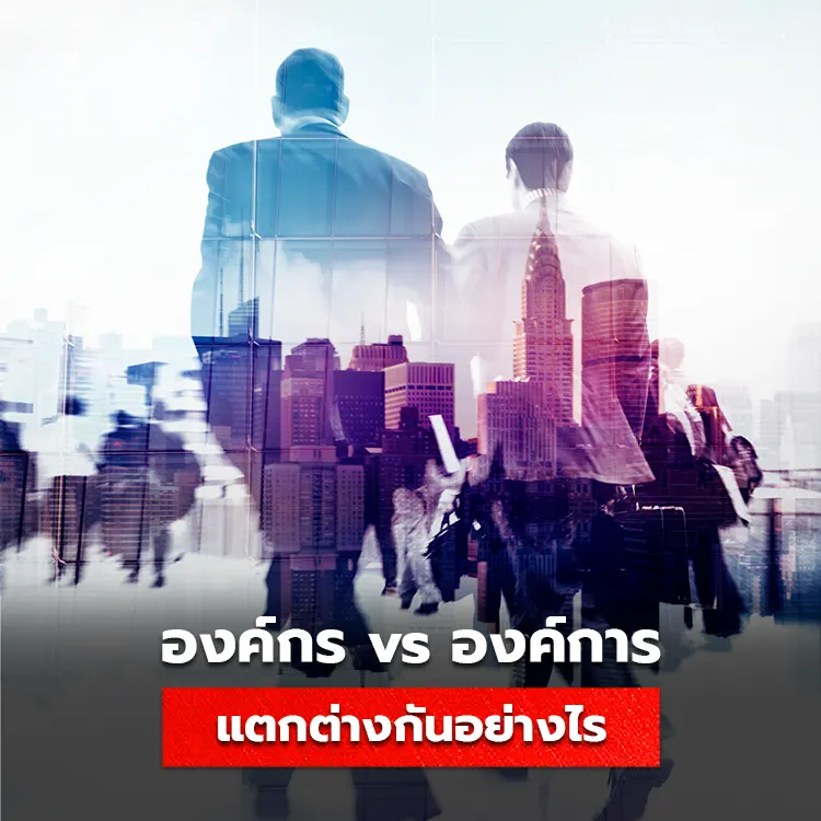 ความแตกต่างขององค์กรและองค์การ