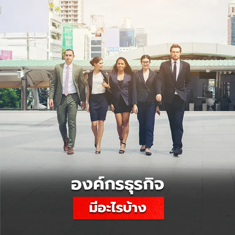 ประเภทขององค์กรธุรกิจ มีอะไรบ้าง