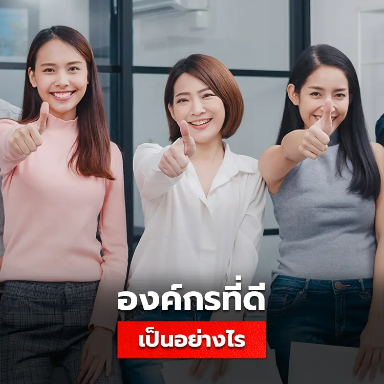 ลักษณะขององค์กรที่ดี ที่คนรุ่นใหม่อยากร่วมงานด้วย