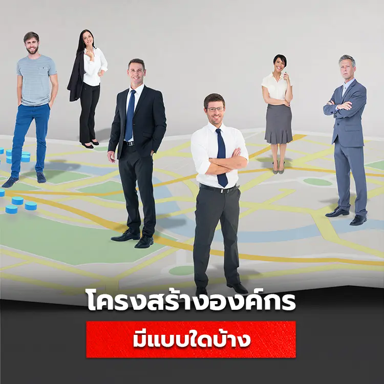 โครงสร้างองค์กรคืออะไร มีแบบใดบ้าง