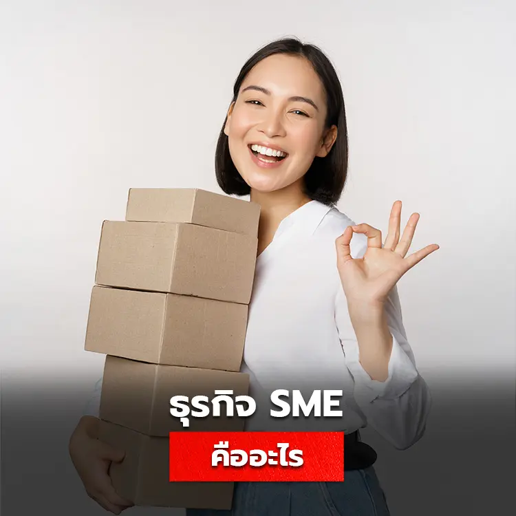 SME คืออะไร ธุรกิจ sme มีวิธีแบ่งแยกอย่างไร