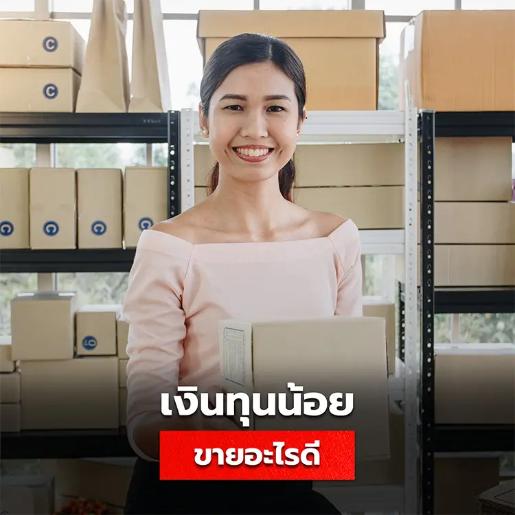 ขายของออนไลน์ เงินทุนน้อย ขายอะไรดีให้ได้กำไร
