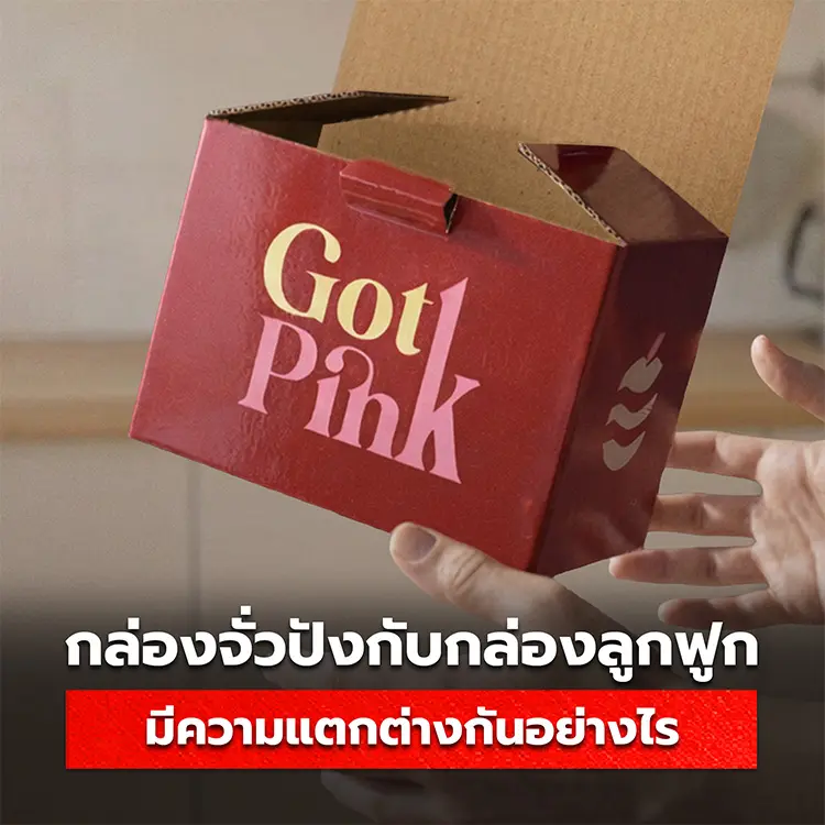 กล่องจั่วปังกับกล่องลูกฟูก เหมือนหรือแตกต่างกันหรือไม่ มีวิธีแยกความแตกต่างและการใช้งานอย่างไร