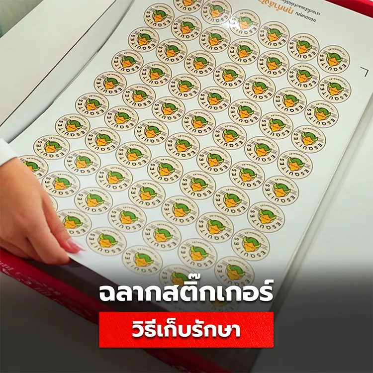 วิธีเก็บรักษาสติ๊กเกอร์ เทคนิคดูแลฉลากให้พร้อมใช้งานได้เสมอ